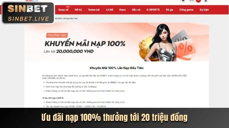Cài đặt trình duyệt hiển thị tùy chọn kiểm soát cookie